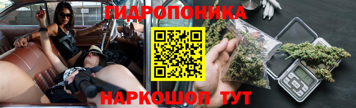Конопля ГИДРОПОН  Каннабис Bruce Banner  Шишки марихуана THC 21%  Кунгур  Вход с VPN  Канабис планчик 
